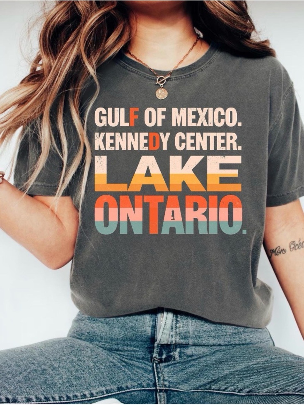 Lake Ontario Great Lakes Shirt Vintage Quiet Activism Tee, Gulf of Mexico Tee